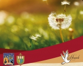 Article main image